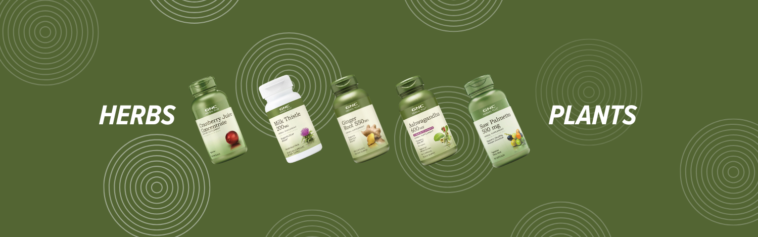 HERBS